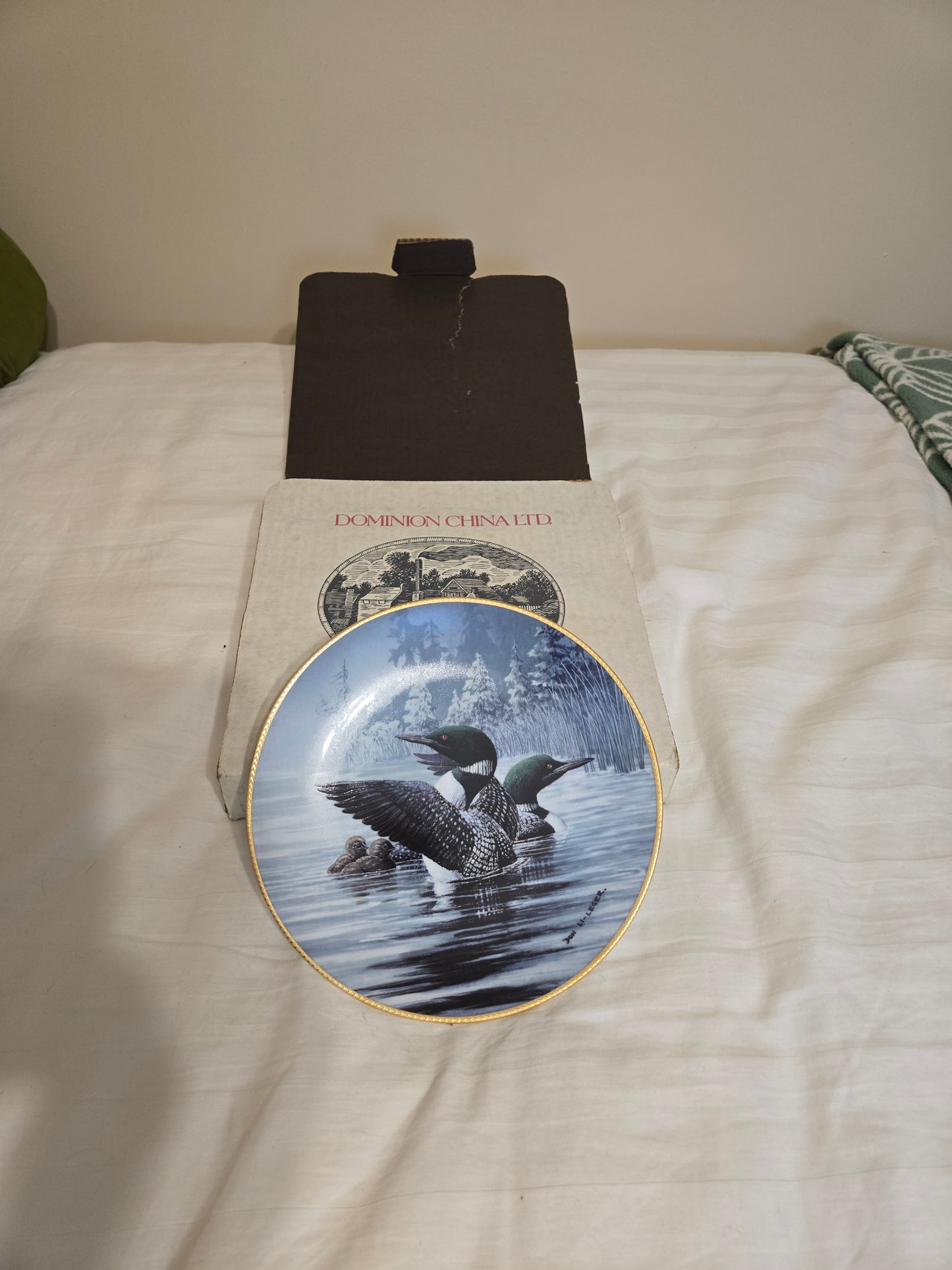The Loon: Voice of the North