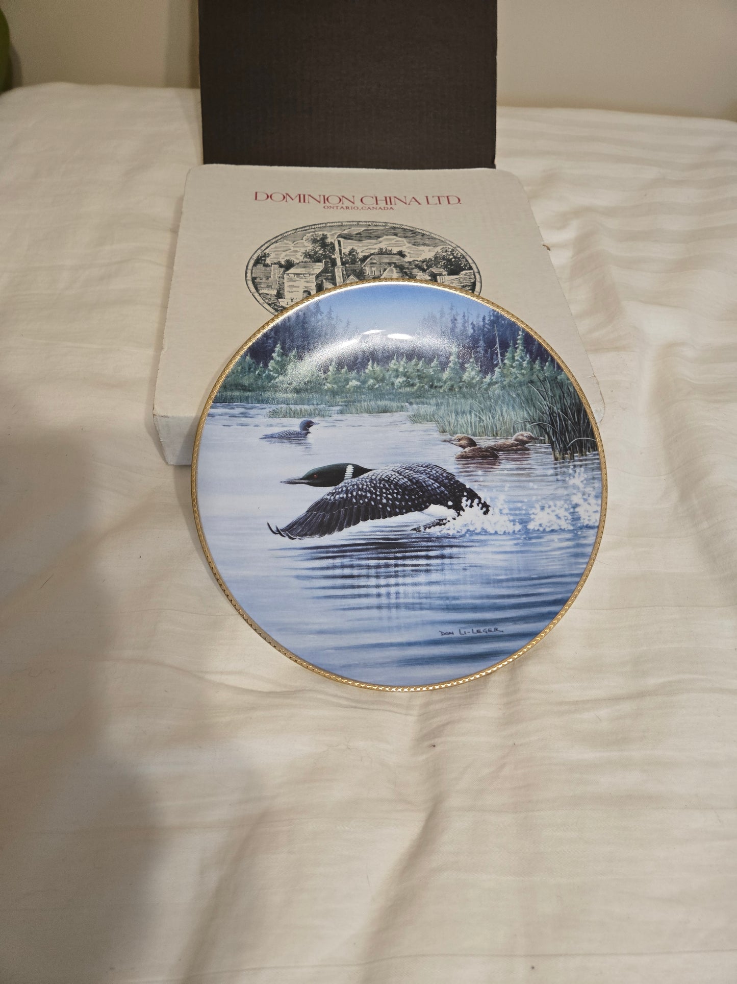 The Loon: Voice of the North