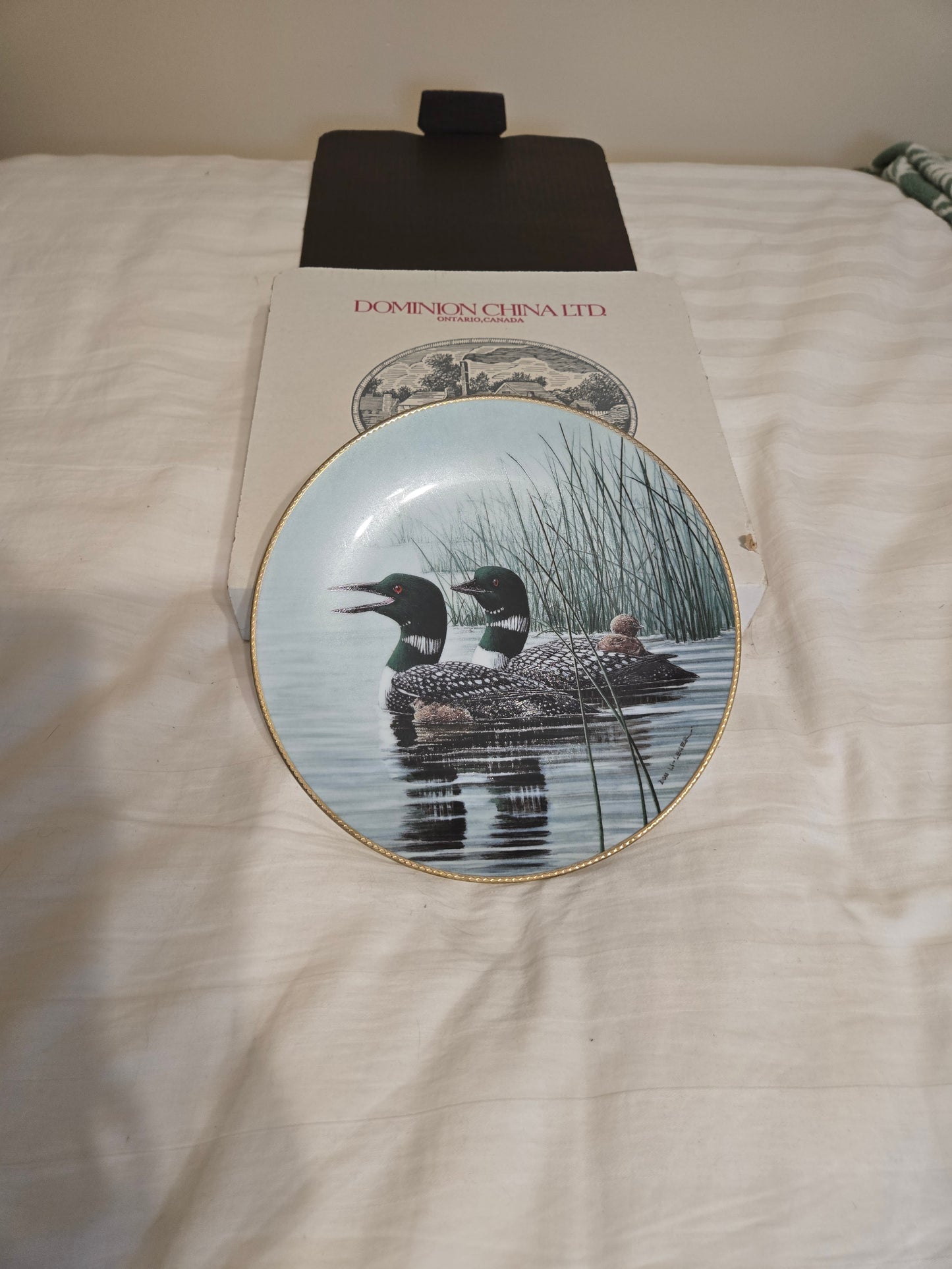 The Loon: Voice of the North