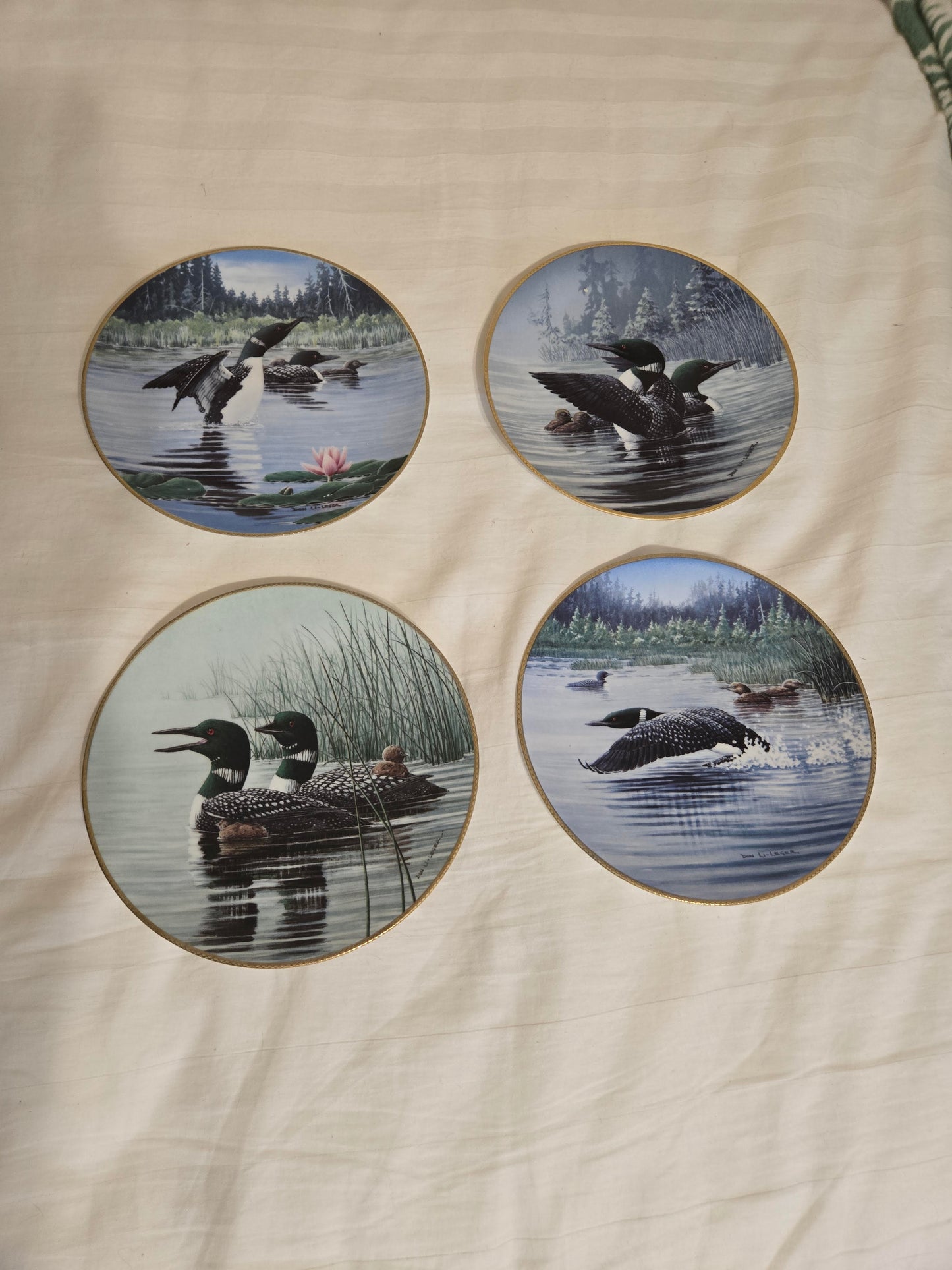 The Loon: Voice of the North