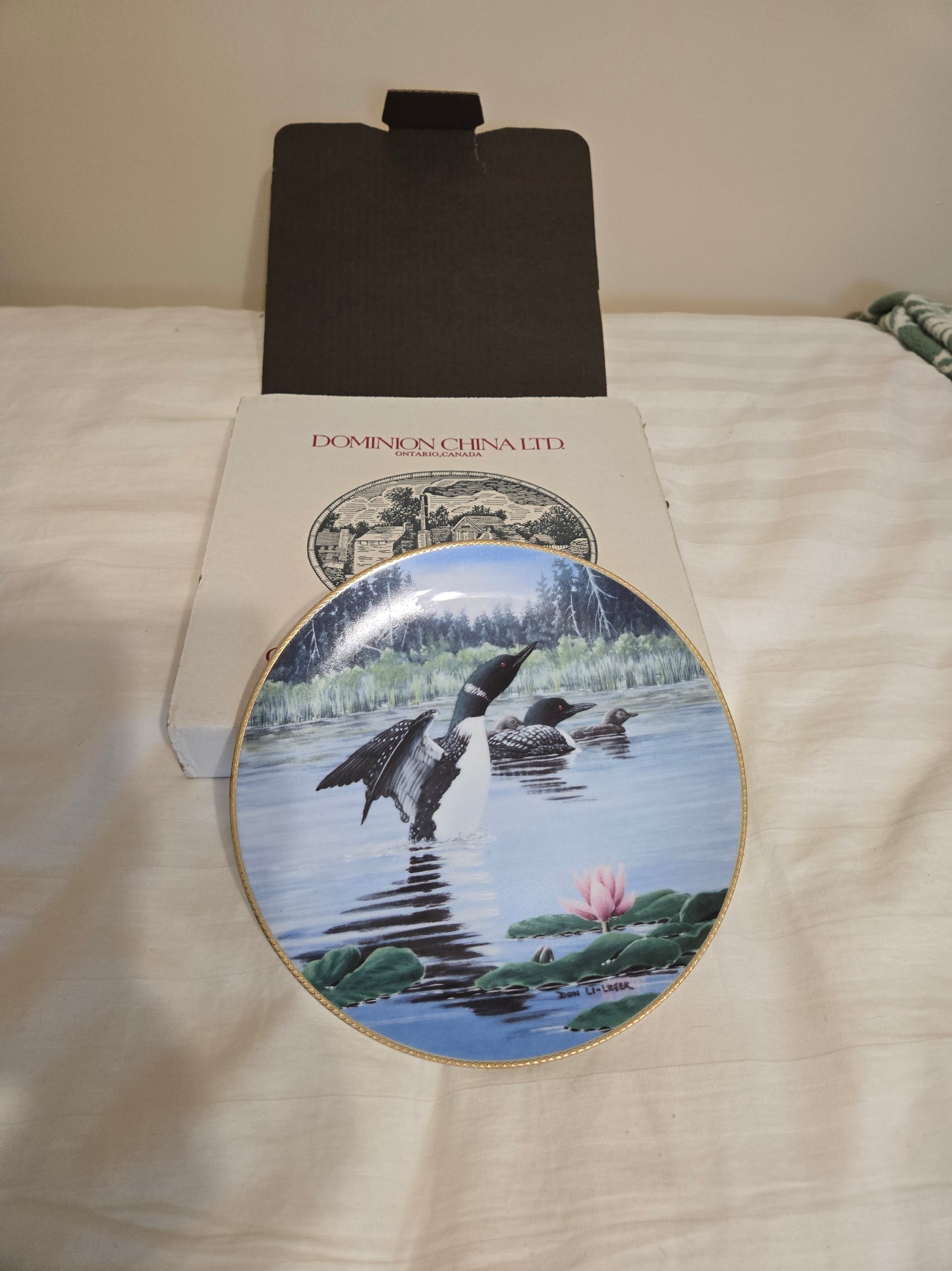 The Loon: Voice of the North